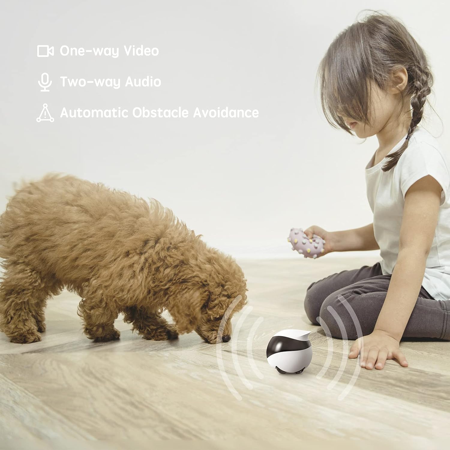 Home Rover Security Cam